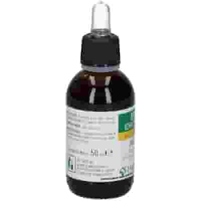 Integratore Farmaderbe Pilosella Macerato Idroalcolico 50ml