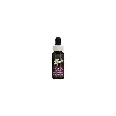 EASTER LILY ESS 7,4ML CALF