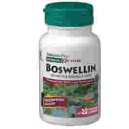 HERBAL ACTIVES INCENSO 60 CAPSULE