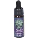 ANGELICA ESS 7,4ML CALF