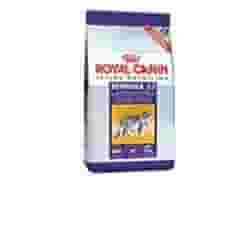 FELINE HEALTH NUTRITION REGULAR SENSIBLE 400 G