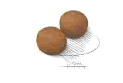 SIZE HEALTH NUTRITION MAXI ADULT 4 KG