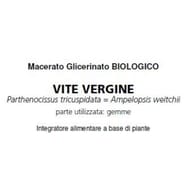 D.I.S. BIO Gocce, miscela di oli essenziali vegetali 50ml