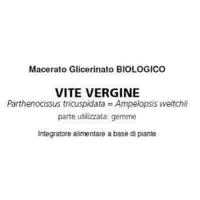DIS BIO GOCCE 50 ML