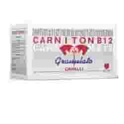 Carniton B12 Granulato per Cavalli Sportivi, 20 Bustine