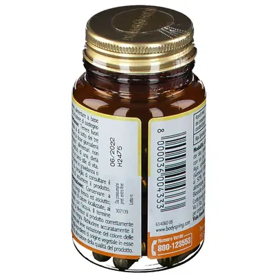 BODY SPRING SPIRULINA 50 CAPSULE BODY SPRING SPIRULINA 50 CAPSULE