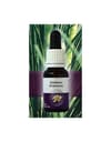 GODDESS GRASSTREE ESS15ML AUST