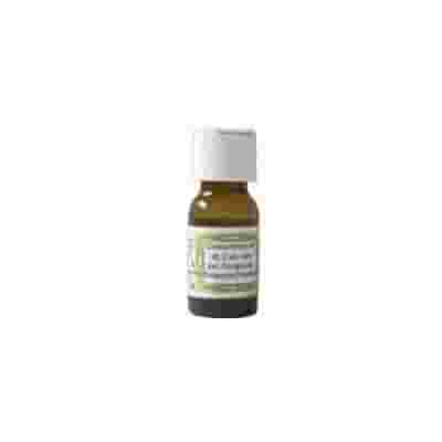 SIDEA C INTEGRALE VITAMINA C 10 ML