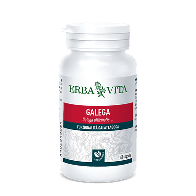 GALEGA 60 CAPSULE