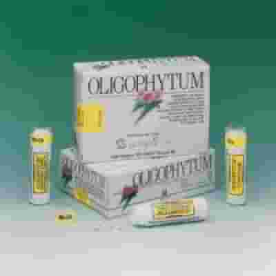 OLIGOPHYTUM MAG 300 MICROCOMPRESSE