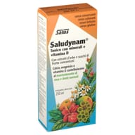 SALUDYNAM 250 ML