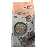 FIOCCHI AI 5 CEREALI 500 G
