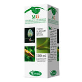 BETULA PUBESCENS MACERATO GLICERICO 100 ML