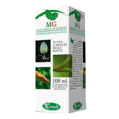 BETULA PUBESCENS MACERATO GLICERICO 100 ML