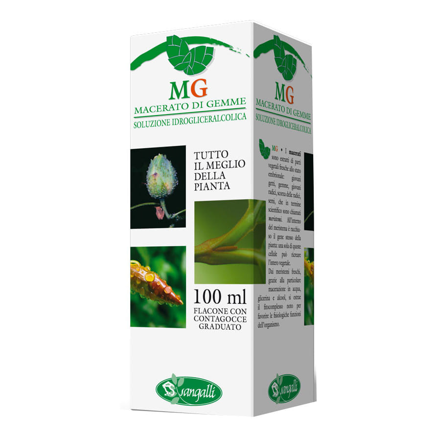 Macerato Glicerico di Betula Pubescens, 100ml