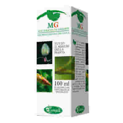 Macerato Glicerico di Betula Pubescens, 100ml