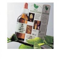 Macerato Glicerico di Betula Verrucosa, 100ml