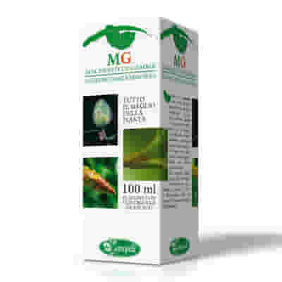 Gemmoderivato di Biancospino Crataegus Oxyacantha 100ml