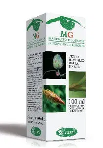 CASTAGNO MACERATO GLICERICO 100 ML CASTAGNO MACERATO GLICERICO 100 ML