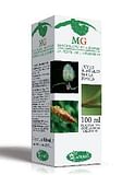 CASTAGNO MACERATO GLICERICO 100 ML