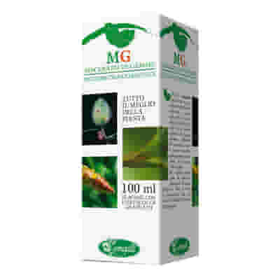 Gemmoderivato di Fico Sangalli, macerato glicerico 100ml