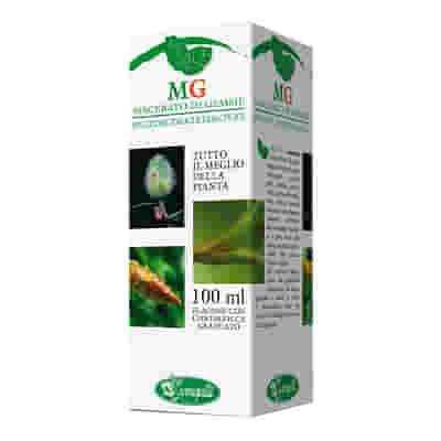 SANGALLI LABORATORIO ERBORISTICO FICO MACERATO GLICERICO 100 ML