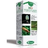 GINEPRO MACERATO GLICERICO 100 ML