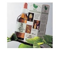 Macerato Glicerico di Nocciolo Corylus avellana 100ml