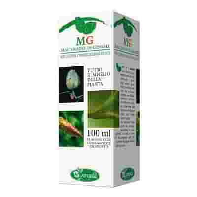 QUERCIA MACERATO GLICERICO 100 ML