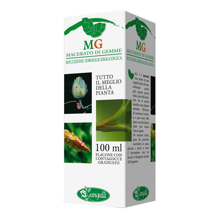 Tiglio Argent Macerato Glicerico 100 Ml