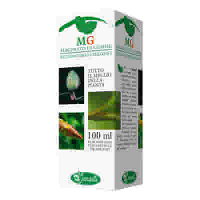 Macerato Glicerico di Tiglio Argentato, 100ml