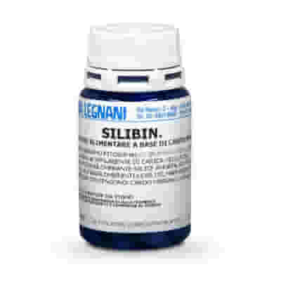 SILIBIN 60 COMPRESSE