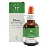 SOLIDAGO SOLUZIONE IDROALCOLICA 50 ML