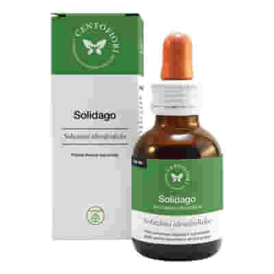 SOLIDAGO SOLUZIONE IDROALCOLICA 50 ML