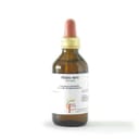 RIBES GEMME MACERATO GLICERICO 100 ML