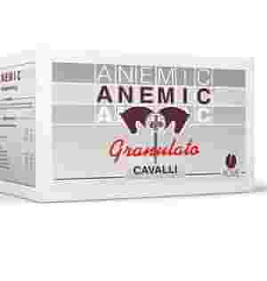 ANEMIC GRANULATO 40 BUSTE DA 25 G