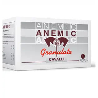 ANEMIC GRANULATO 40 BUSTE DA 25 G