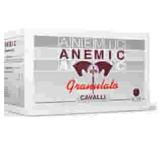 ANEMIC GRANULATO 40 BUSTE DA 25 G