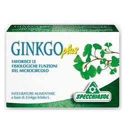 Ginkgo Plus 30 Capsule