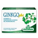 GINKGO PLUS 30 CAPSULE