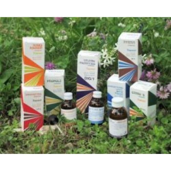 RAEMIL ARTIS GINKO BIL COMPOSTO 25