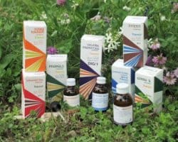 RAEMIL D3 SOLIDAGO COMPOSTO 25 ML