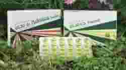 RAEMIL BORRAGINE OLIO 60 PERLE