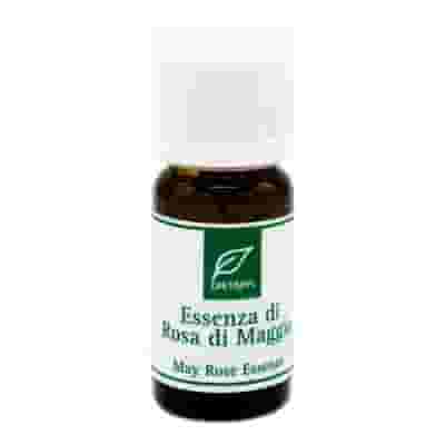 DR TAFFI ESSENZA ROSA DI MAGGIO 10 ML
