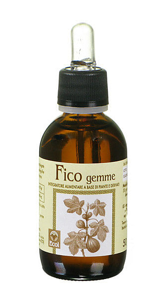 Fico Gemme Estratto Analcolico 50 Ml