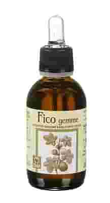 FICO GEMME ESTRATTO ANALCOLICO 50 ML