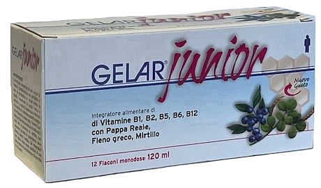 Gelarjunior 12 Flaconi Monodose 10 Ml