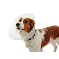 Collare Elisabetta trasparente Classic per animali, 15cm