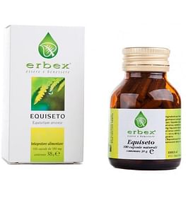 Equiseto 100 Capsule 380 Mg