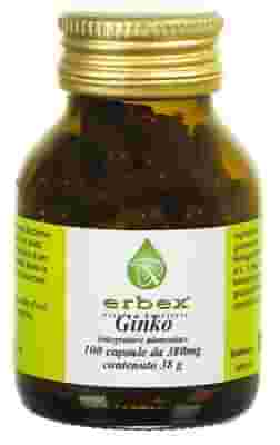 GINKGO BILOBA 100 CAPSULE 380 MG